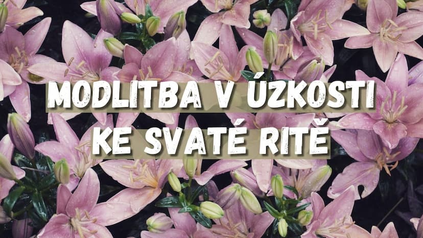 Modlitba v úzkosti ke svaté Ritě